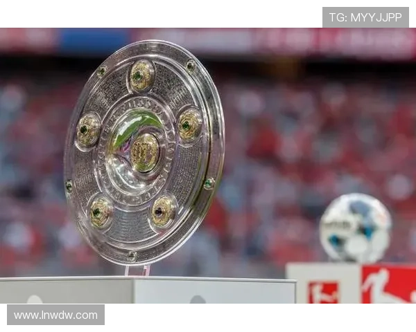 德甲联赛冠军奖金具体数额是多少以及奖金分配规则解析