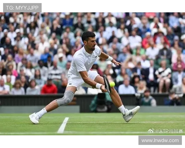 德约科维奇强势回归年终总决赛再掀网坛巅峰对决热潮